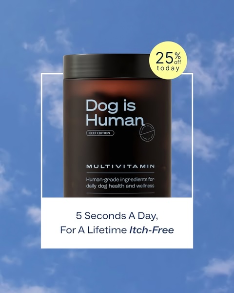 This ad creative highlights a dog multivitamin using a clear benefit hook and a prominent discount offer against a natural sky background.
